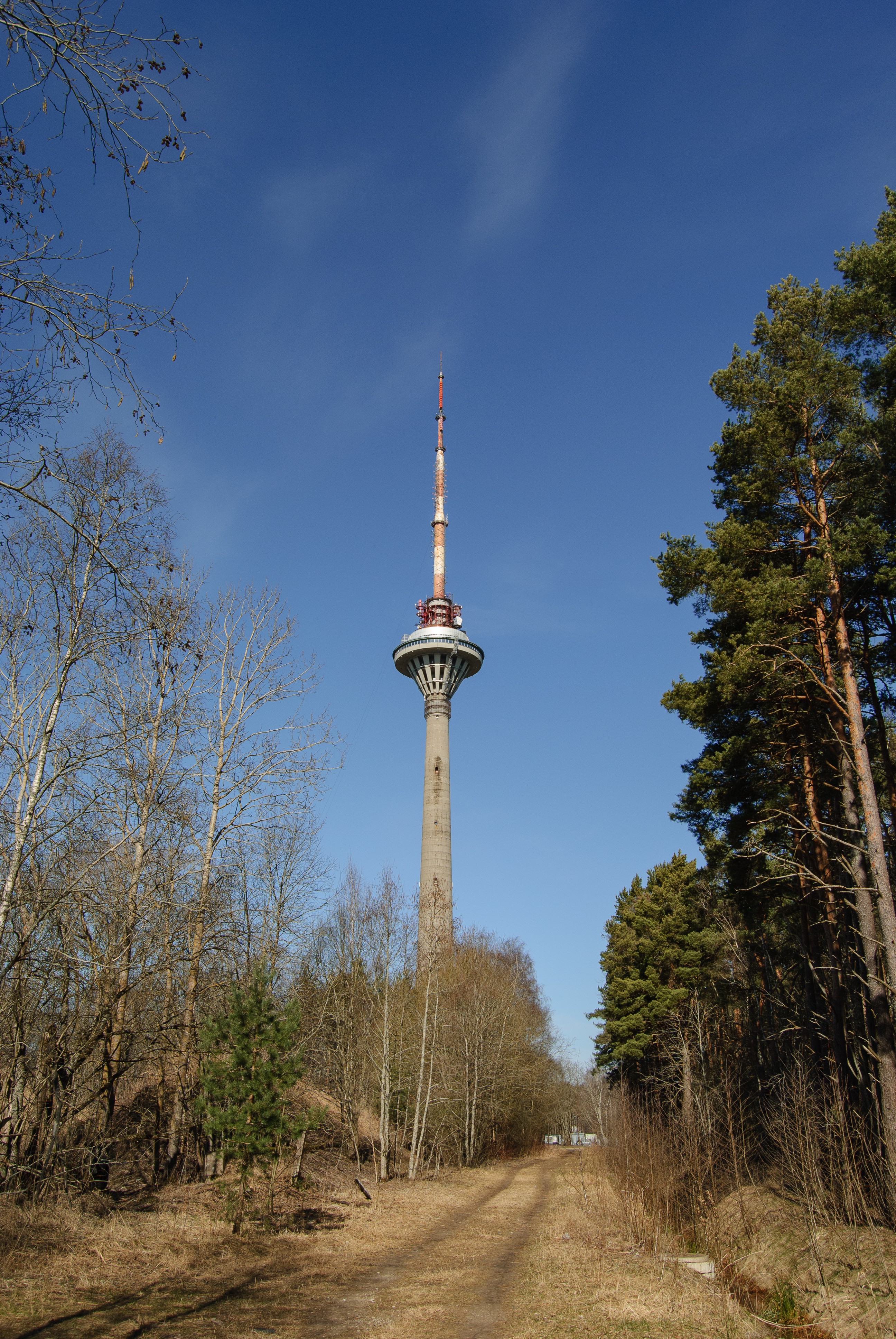 DSC_3303.jpg