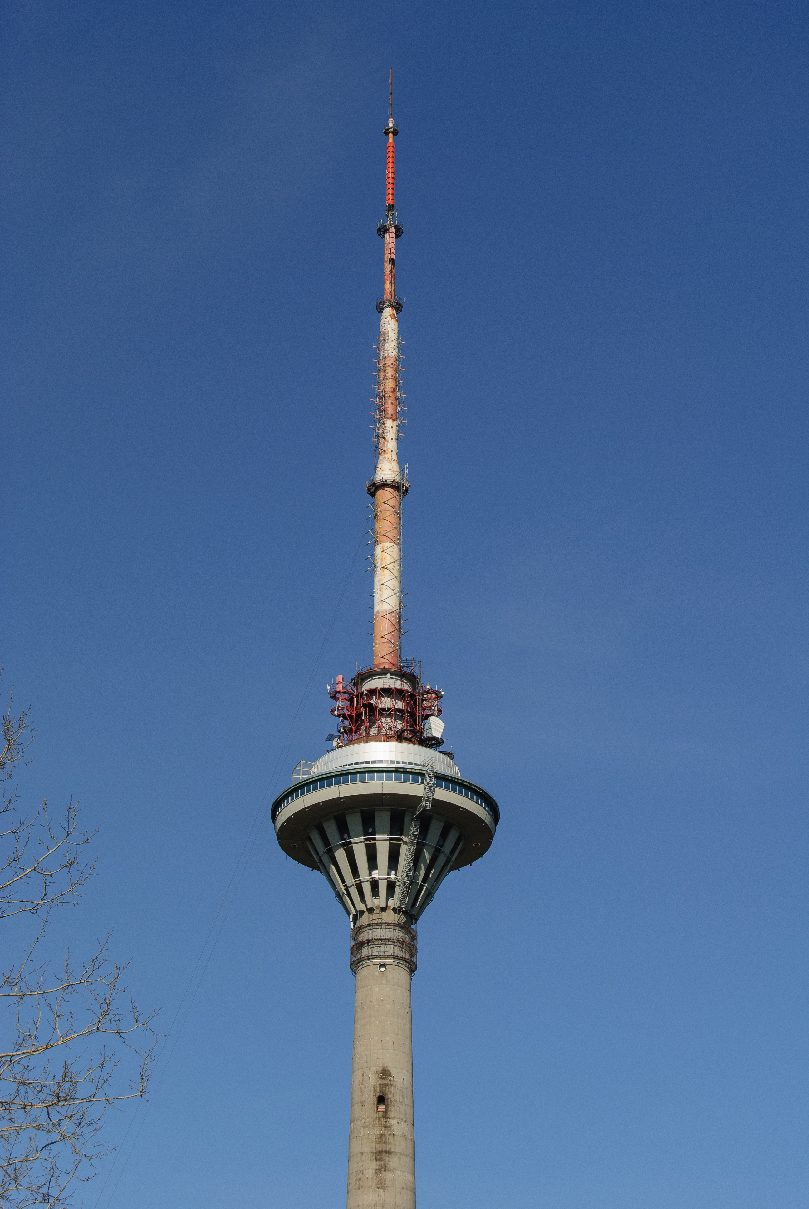 DSC_3304.jpg