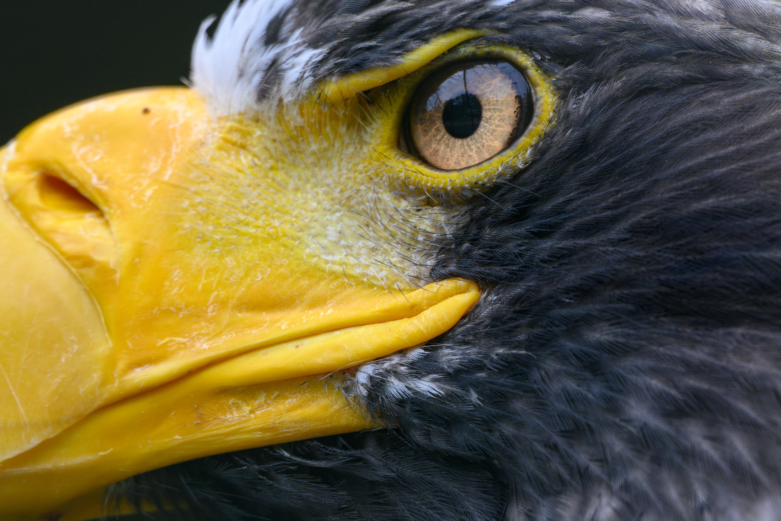 TVL_1196_NIKON Z50_2_840 mm.jpg