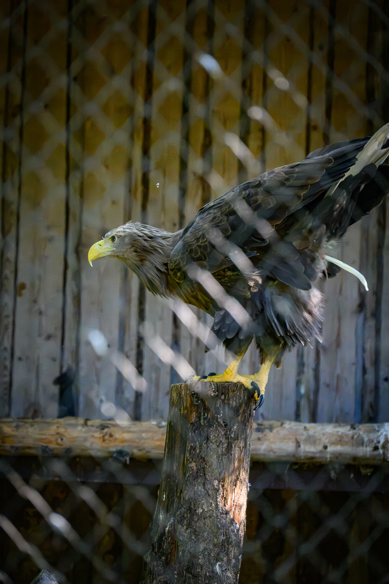 DSC_6154.jpg