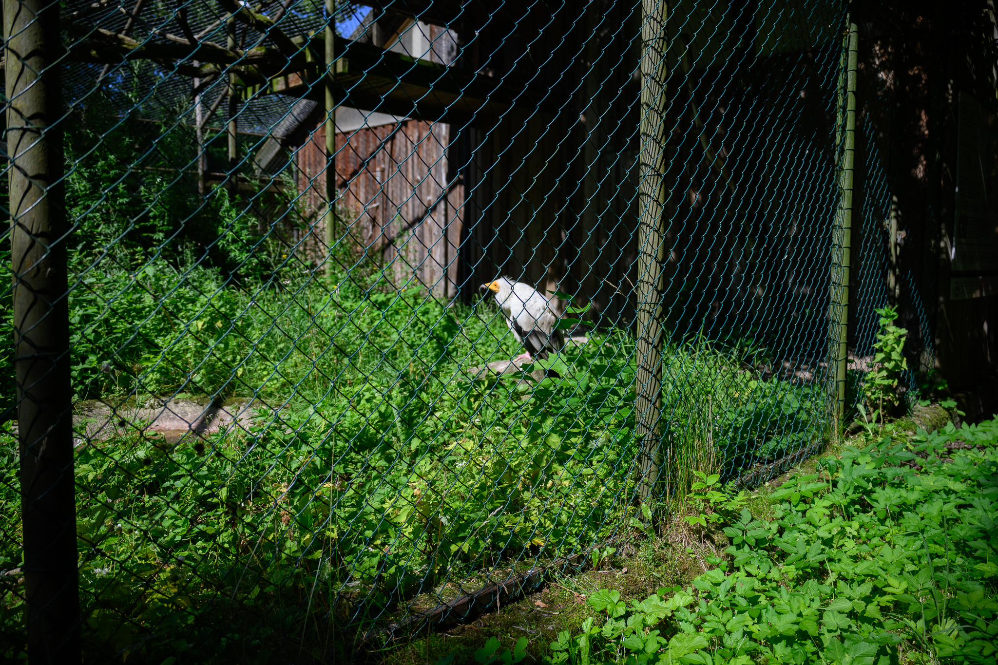 DSC_6172.jpg