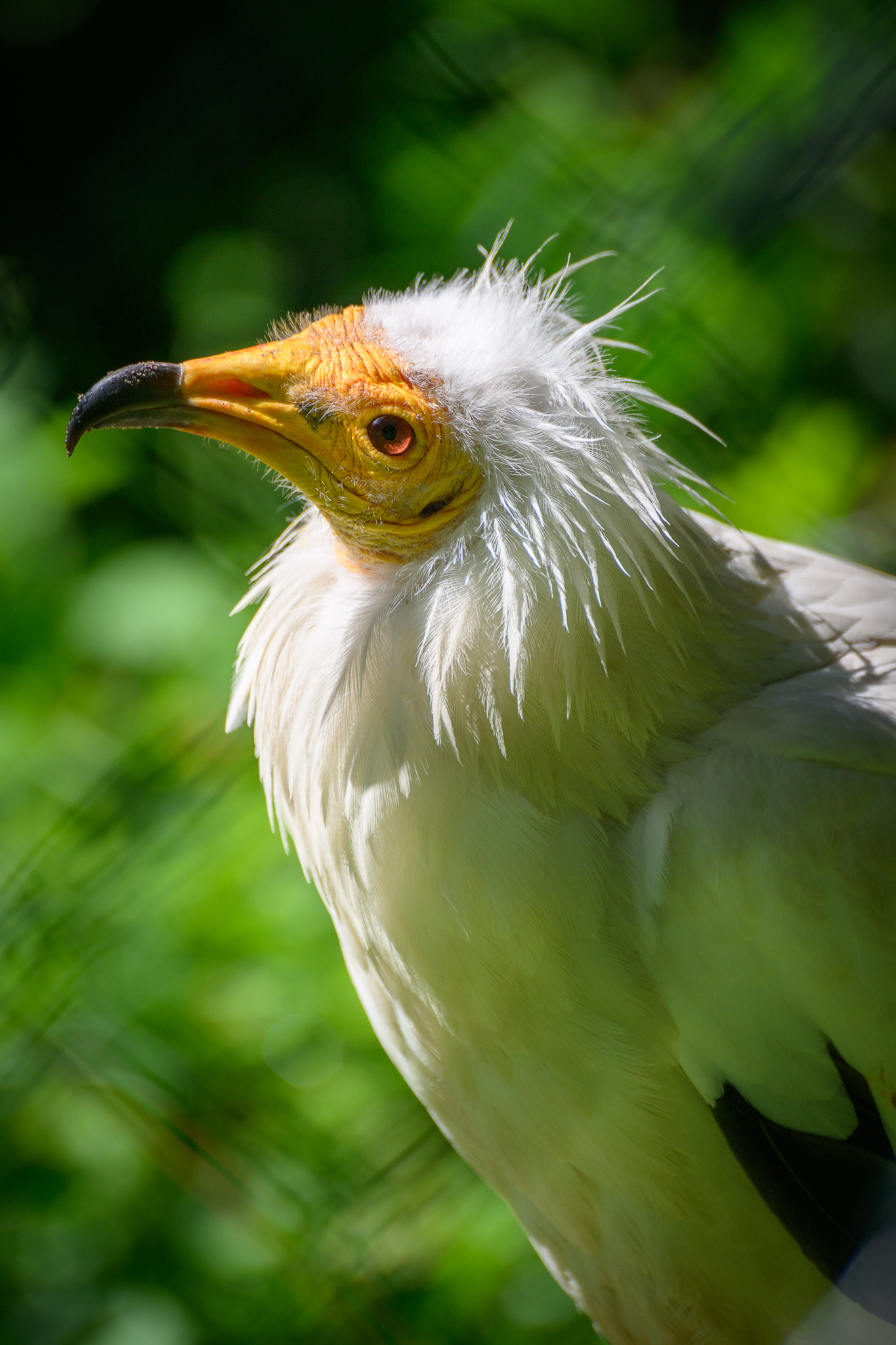 DSC_6740.jpg